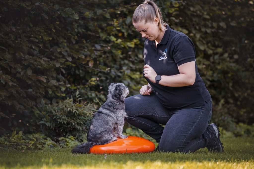 Dierfysio en oefentherapie Hond